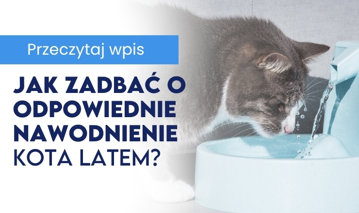 Naturalny duet dla zdrowia i odporności - Blog Baltica
